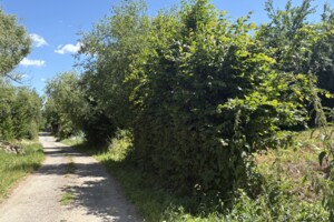 Земельный участок под жилую застройку в Луке-Мелешковской, площадь 24 сотки фото 2