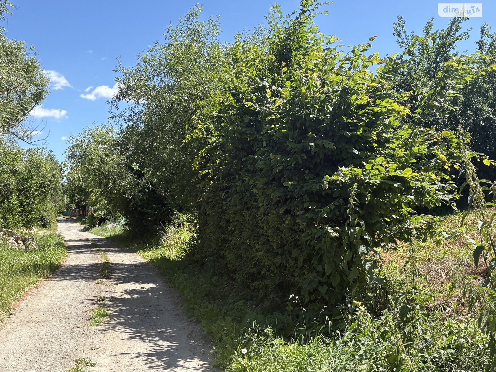 Земельный участок под жилую застройку в Луке-Мелешковской, площадь 24 сотки фото 1