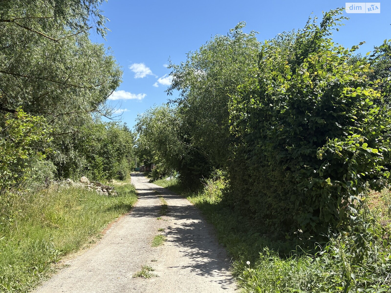 Земельный участок под жилую застройку в Луке-Мелешковской, площадь 24 сотки фото 1