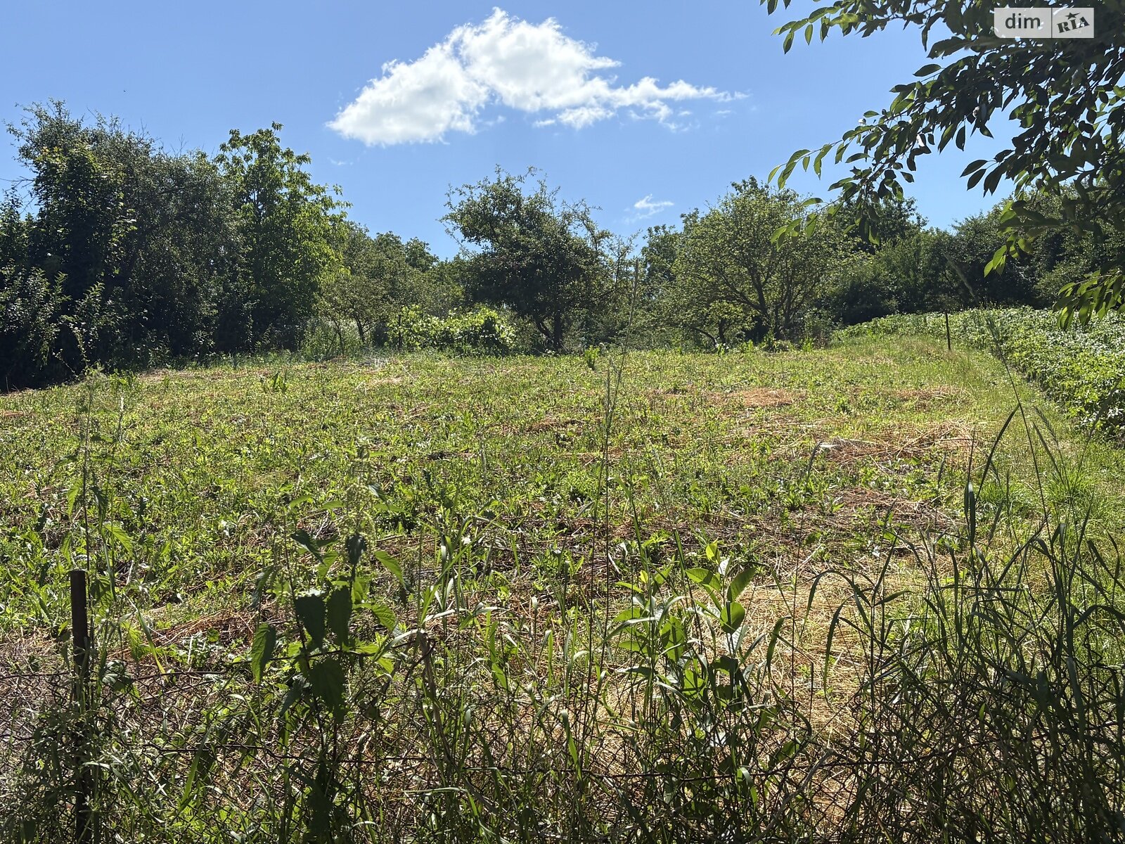 Земельный участок под жилую застройку в Луке-Мелешковской, площадь 24 сотки фото 1