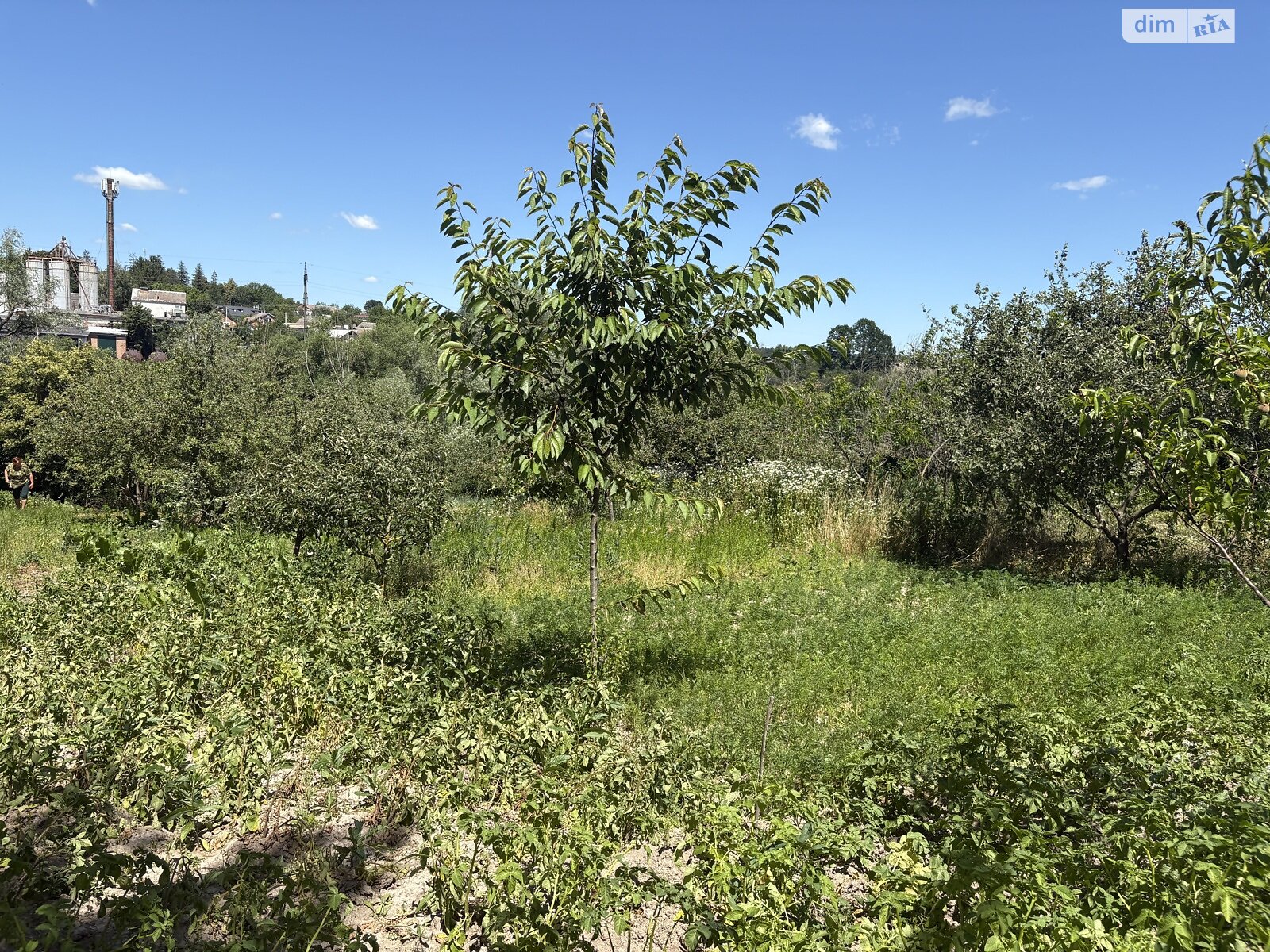 Земельный участок под жилую застройку в Луке-Мелешковской, площадь 24 сотки фото 1