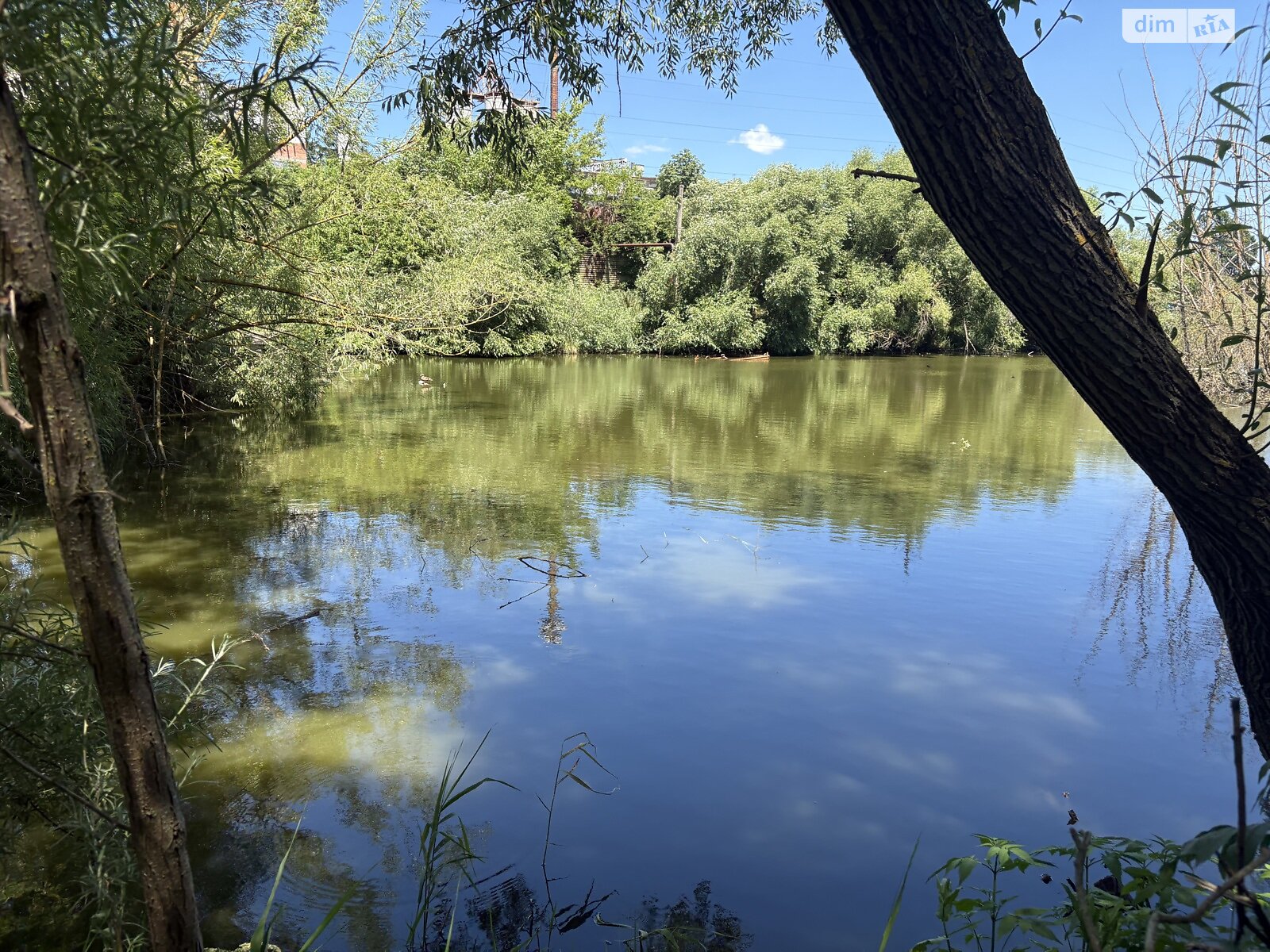 Земельный участок под жилую застройку в Луке-Мелешковской, площадь 24 сотки фото 1