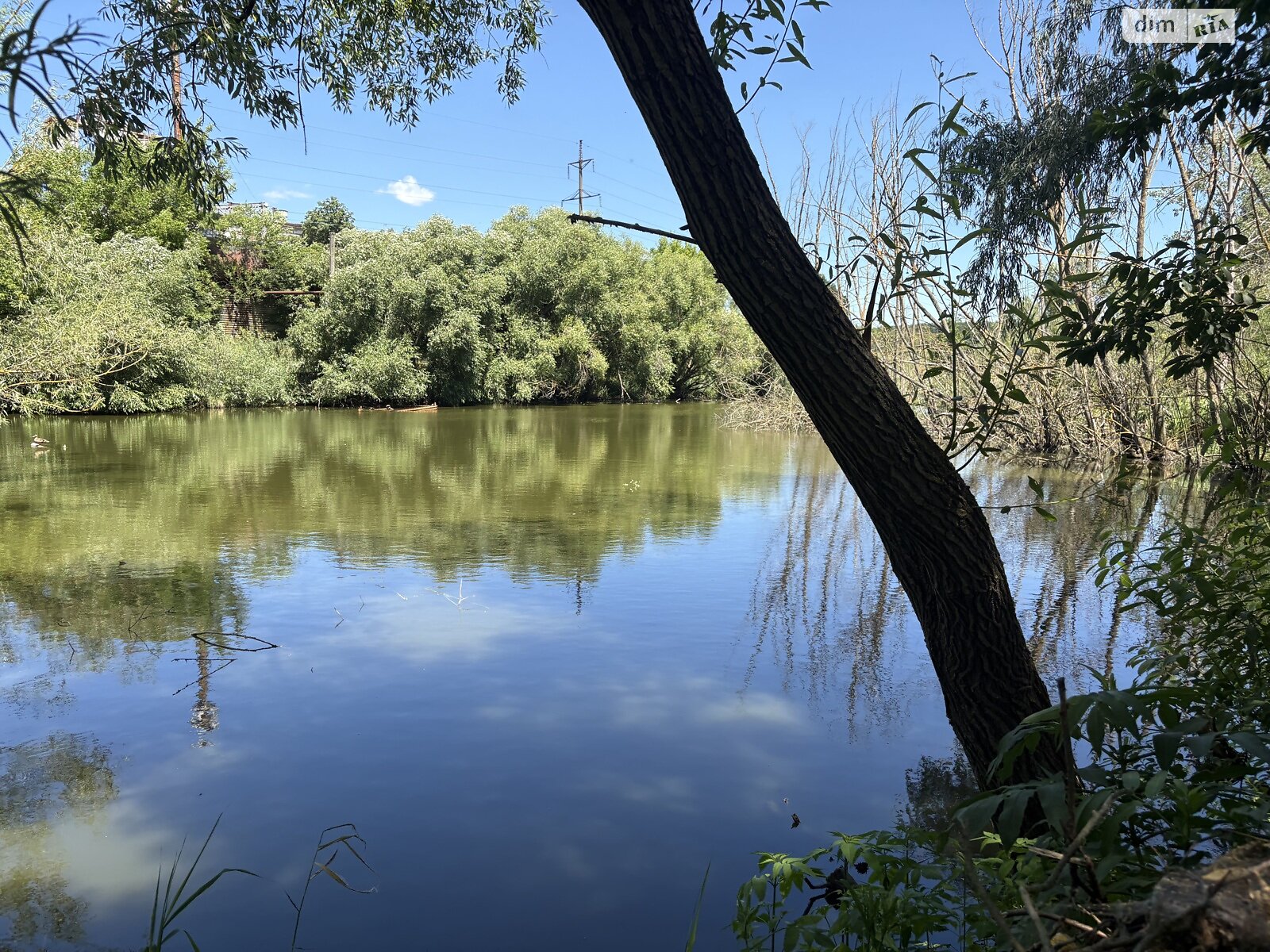 Земельный участок под жилую застройку в Луке-Мелешковской, площадь 24 сотки фото 1