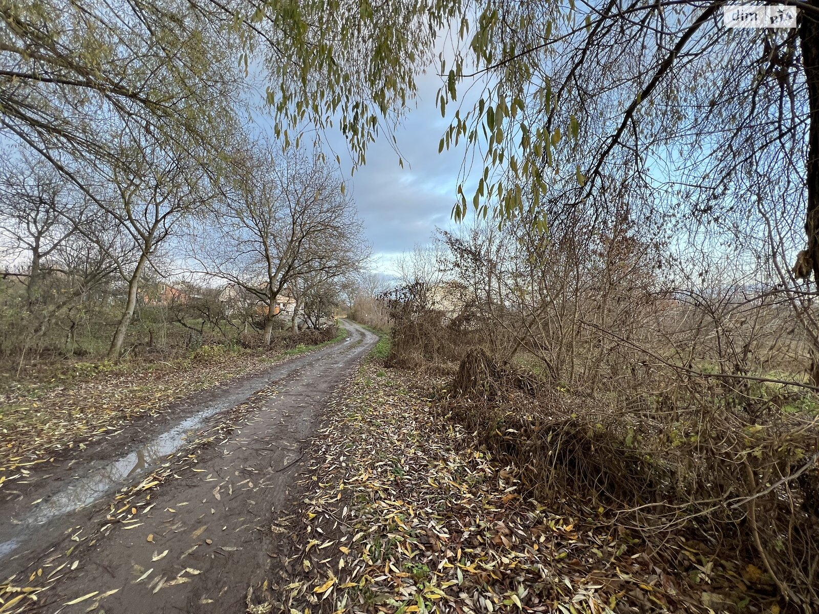 Земельный участок под жилую застройку в Луке-Мелешковской, площадь 10 соток фото 1