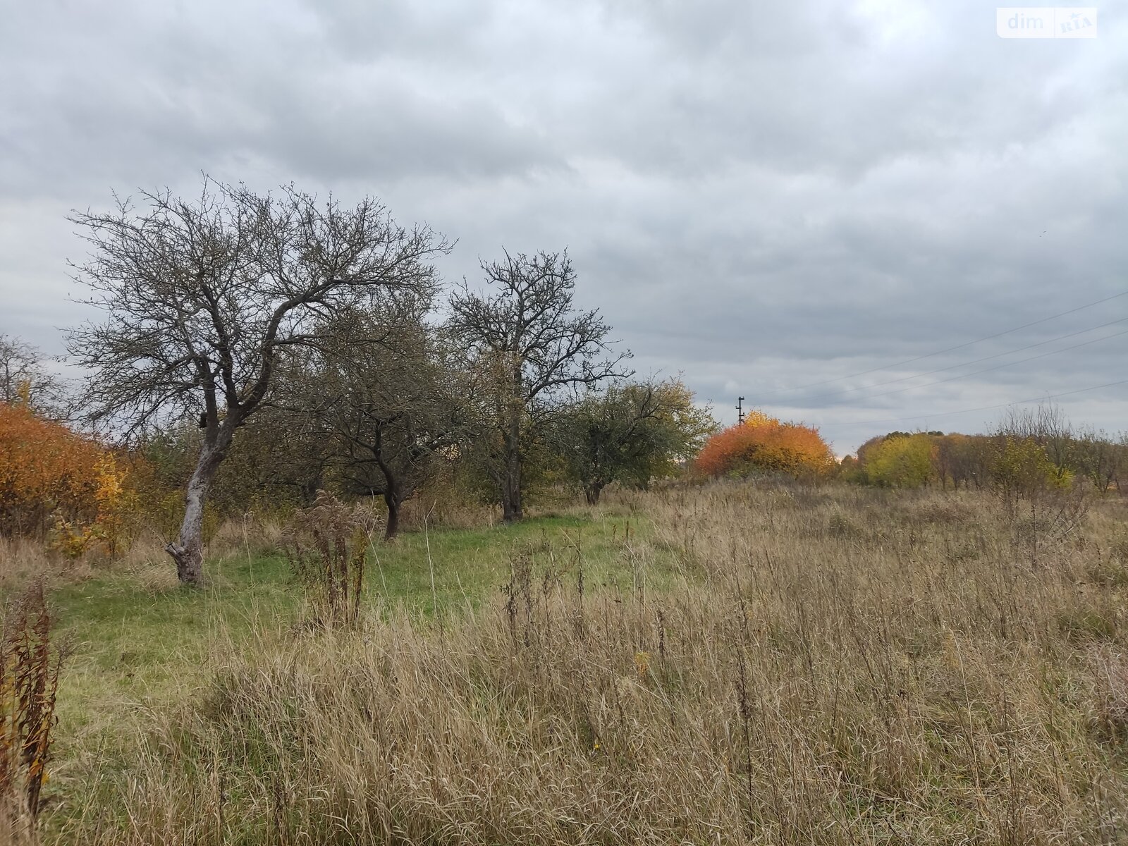 Земельна ділянка під житлову забудову в Луці-Мелешківській, площа 42 сотки фото 1