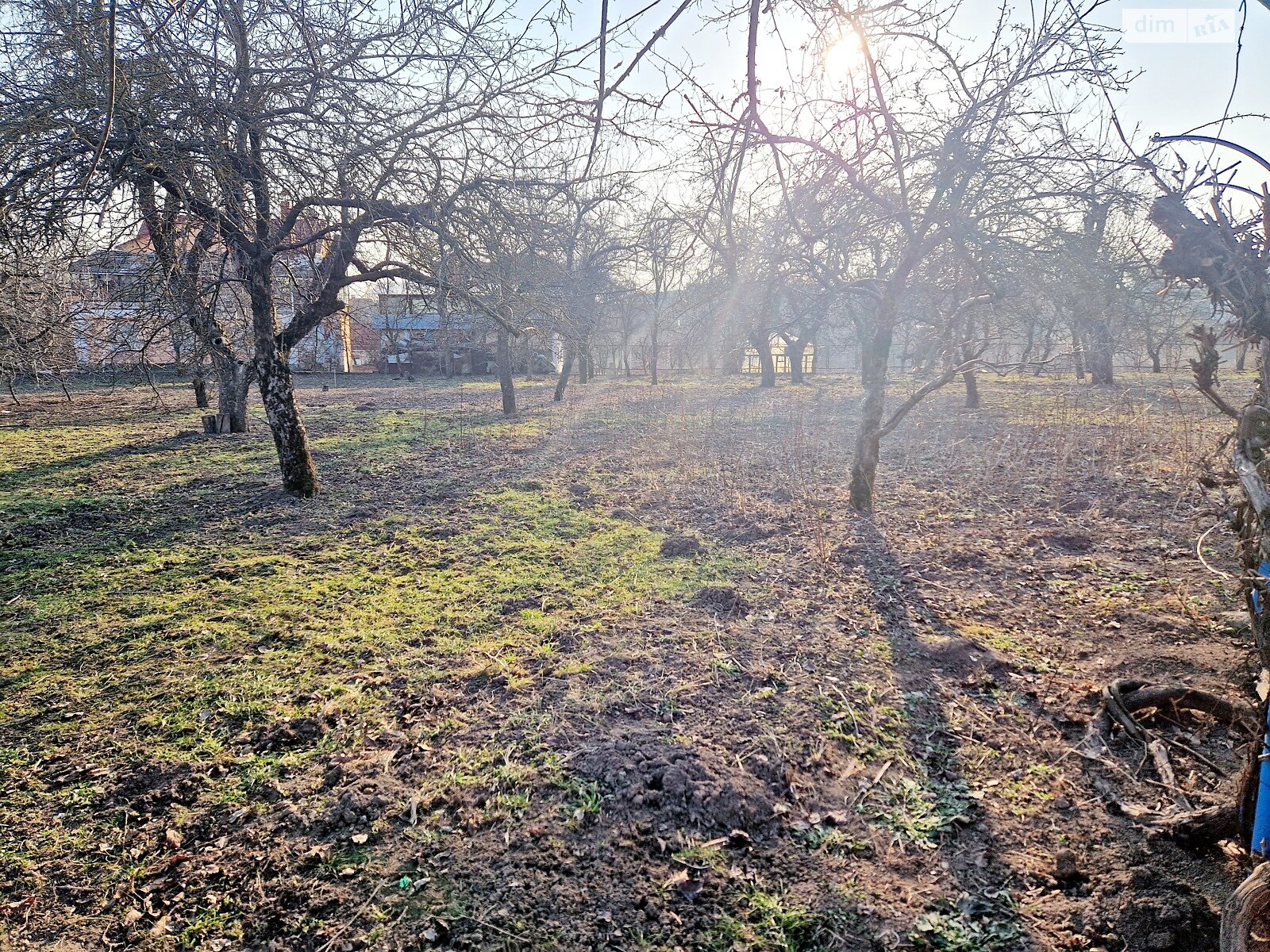 Земельна ділянка під житлову забудову в Луці-Мелешківській, площа 36 соток фото 1 Земельна ділянка під житлову забудову в Луці-Мелешківській, площа 36 соток фото 1