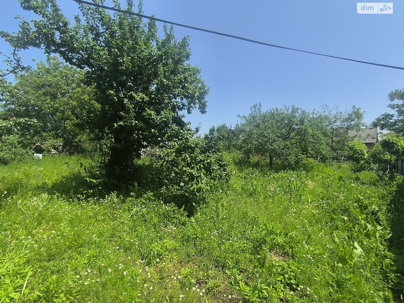 Земельна ділянка під житлову забудову в Луці-Мелешківській, площа 7.23 сотки фото 1 Земельна ділянка під житлову забудову в Луці-Мелешківській, площа 7.23 сотки фото 1