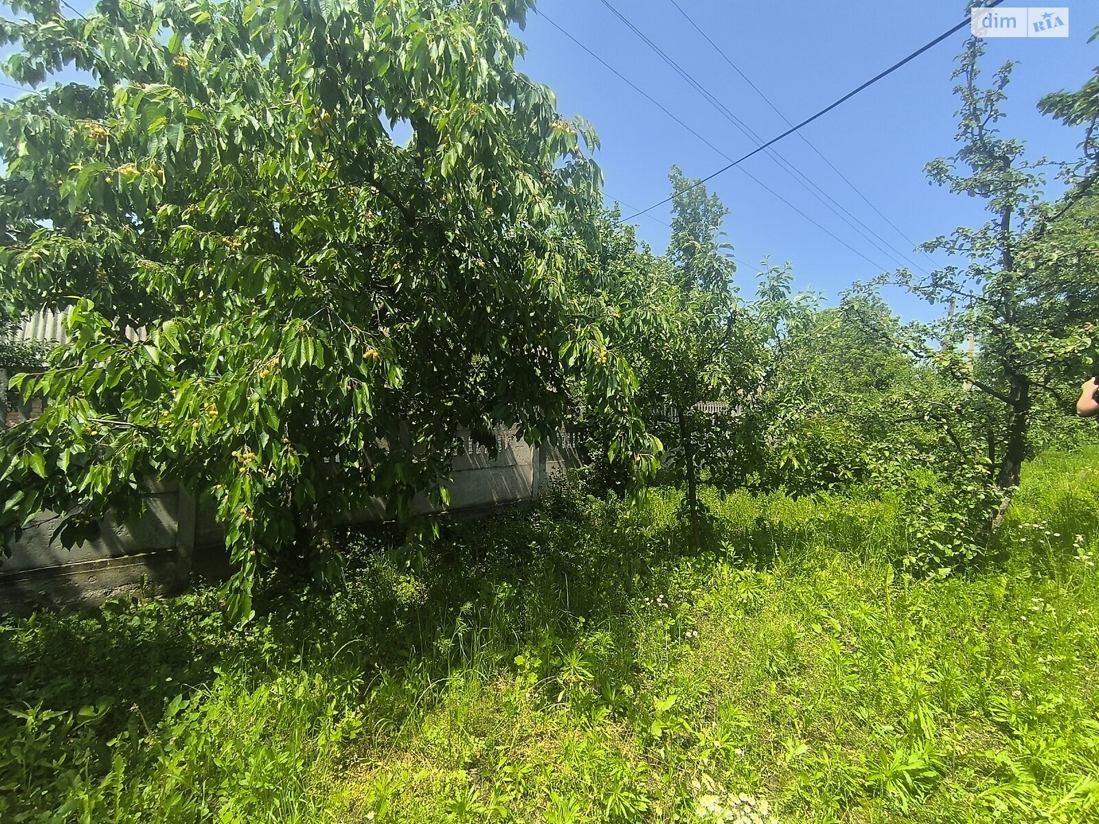 Земельна ділянка під житлову забудову в Луці-Мелешківській, площа 7.23 сотки фото 1 Земельна ділянка під житлову забудову в Луці-Мелешківській, площа 7.23 сотки фото 1