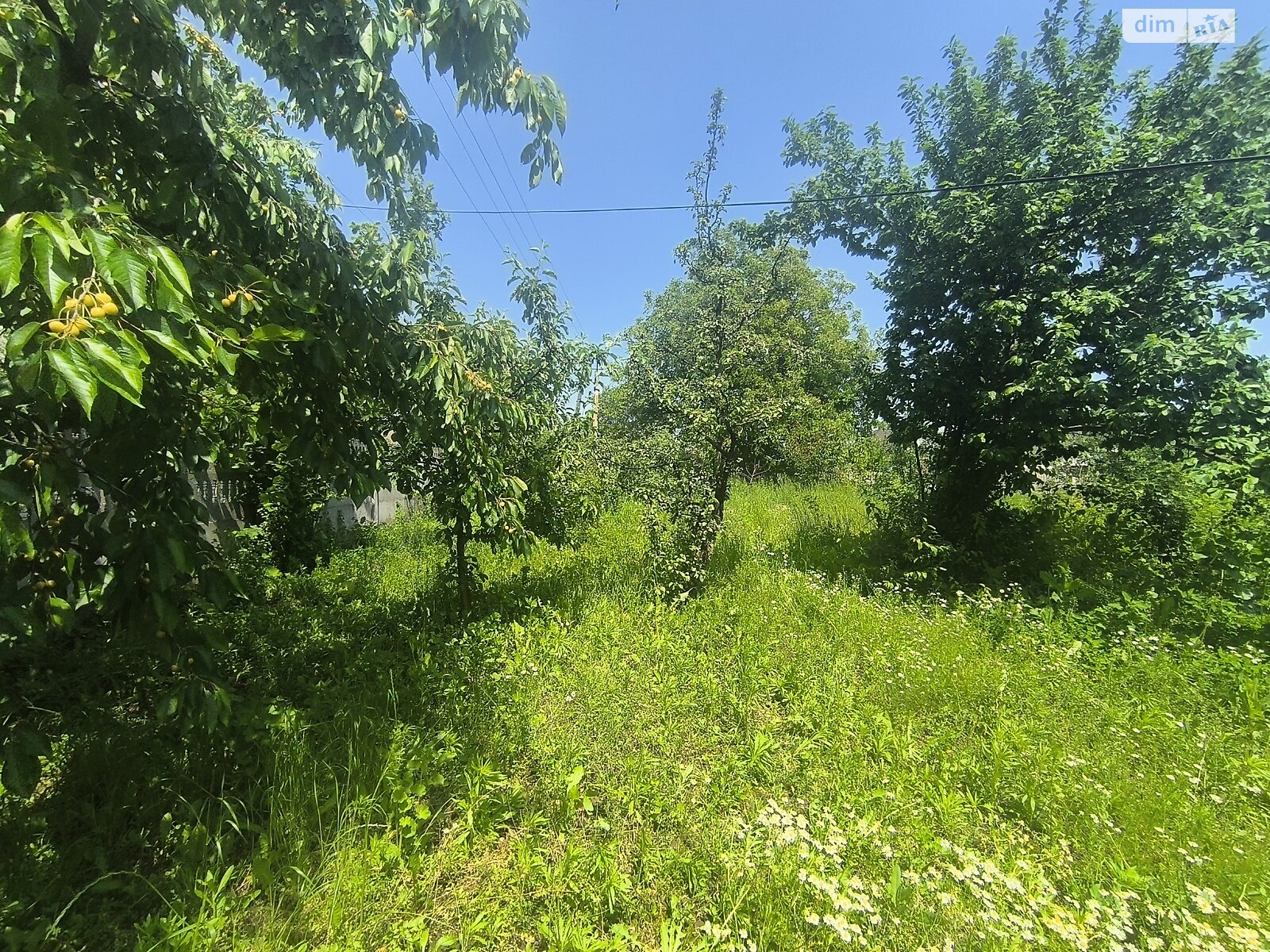 Земельна ділянка під житлову забудову в Луці-Мелешківській, площа 7.23 сотки фото 1 Земельна ділянка під житлову забудову в Луці-Мелешківській, площа 7.23 сотки фото 1