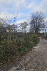 Земельный участок под жилую застройку в Луке-Мелешковской, площадь 14 соток фото 2 Земельный участок под жилую застройку в Луке-Мелешковской, площадь 14 соток фото 2