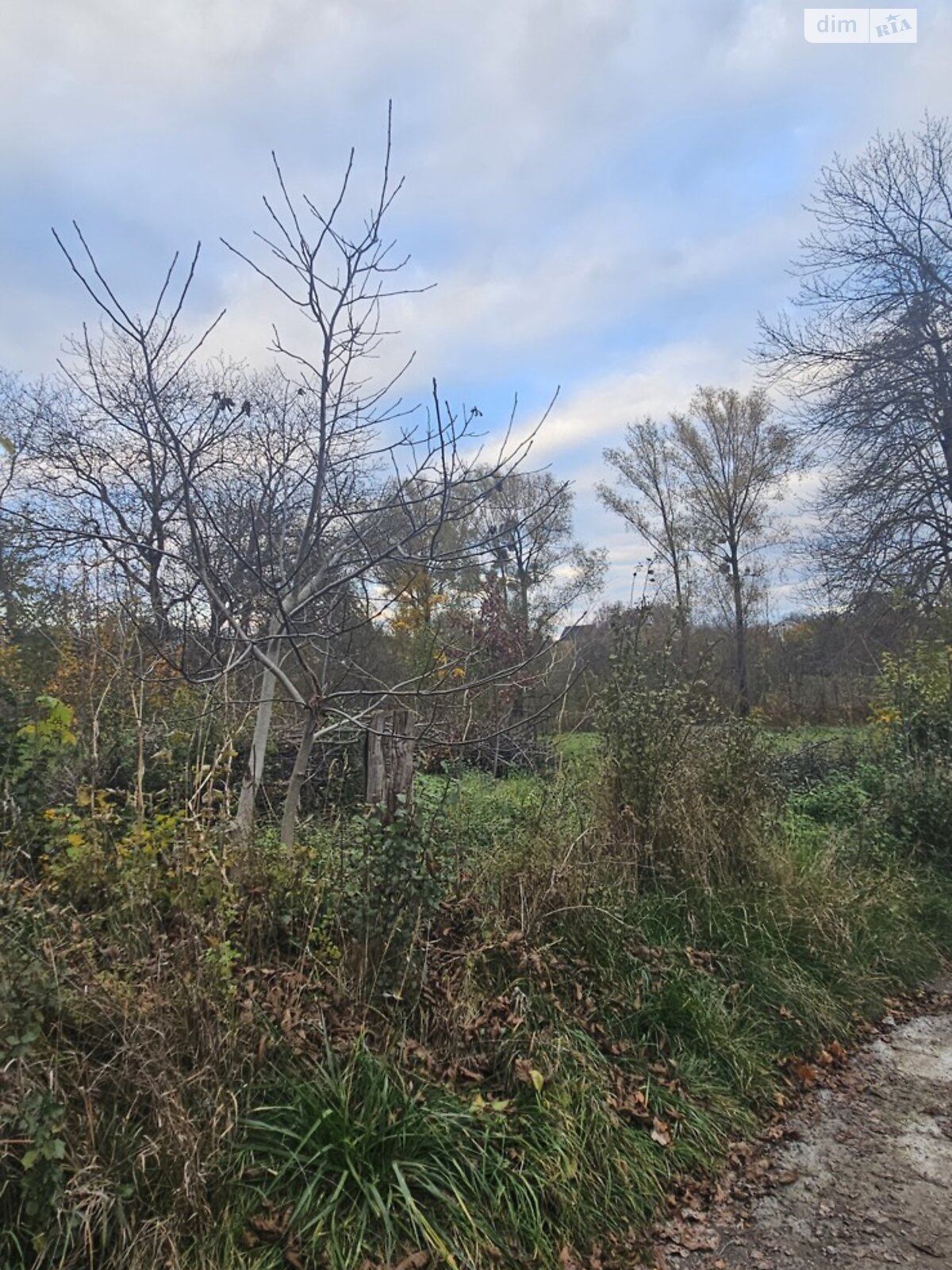 Земельный участок под жилую застройку в Луке-Мелешковской, площадь 14 соток фото 1 Земельный участок под жилую застройку в Луке-Мелешковской, площадь 14 соток фото 1