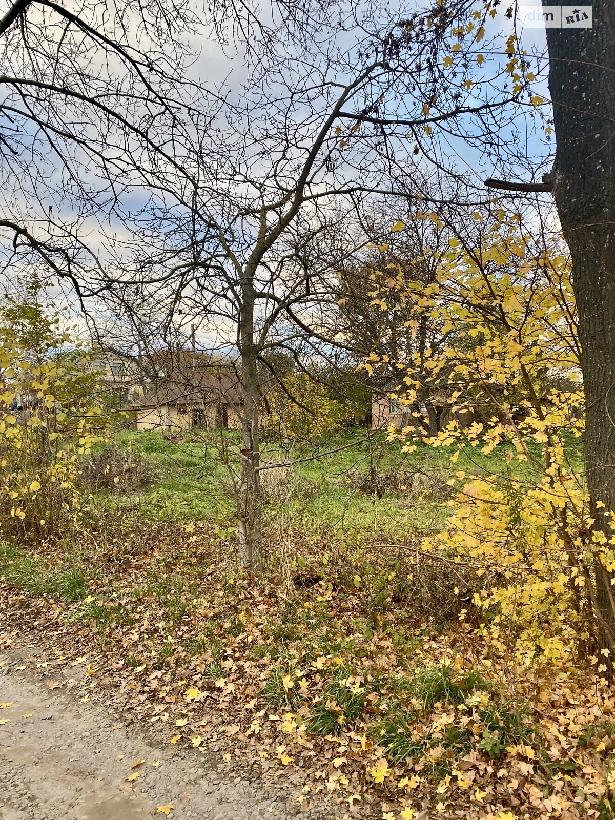 Земельный участок под жилую застройку в Луке-Мелешковской, площадь 14.19 сотки фото 1