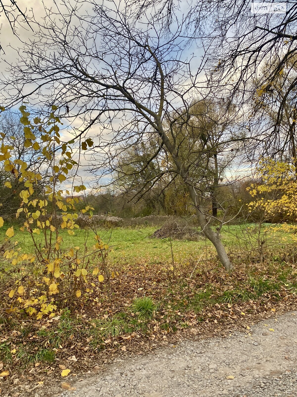 Земельный участок под жилую застройку в Луке-Мелешковской, площадь 14.19 сотки фото 1