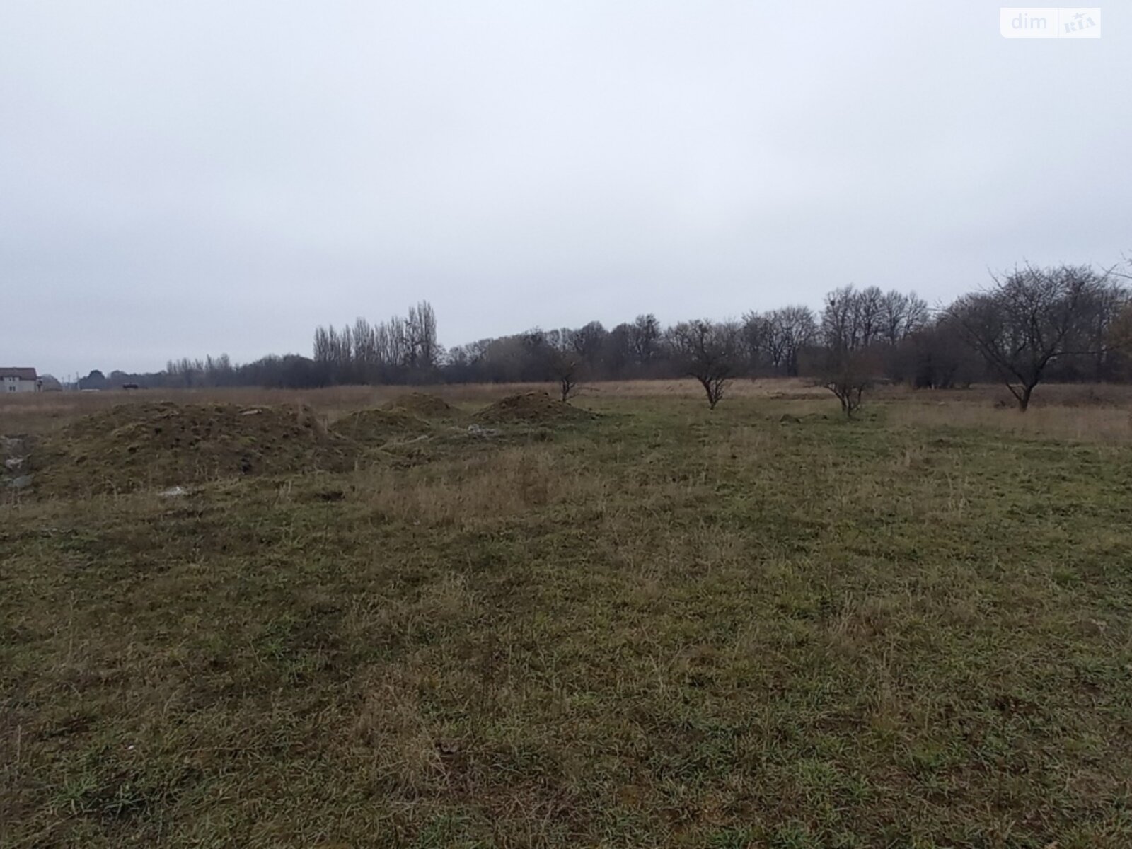 Земельный участок под жилую застройку в Луке-Мелешковской, площадь 12 соток фото 1