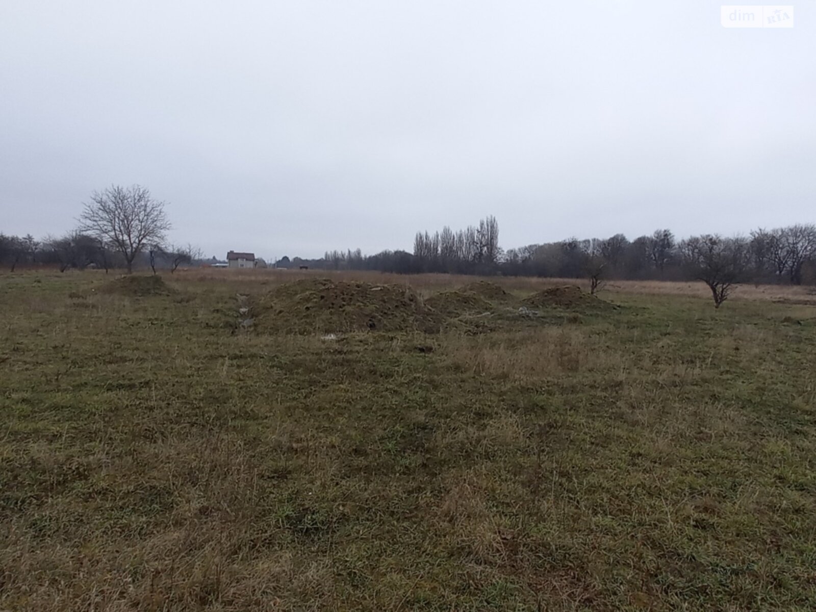 Земельный участок под жилую застройку в Луке-Мелешковской, площадь 12 соток фото 1