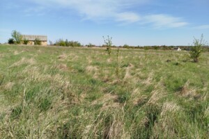 Земельный участок под жилую застройку в Луке-Мелешковской, площадь 20 соток фото 2