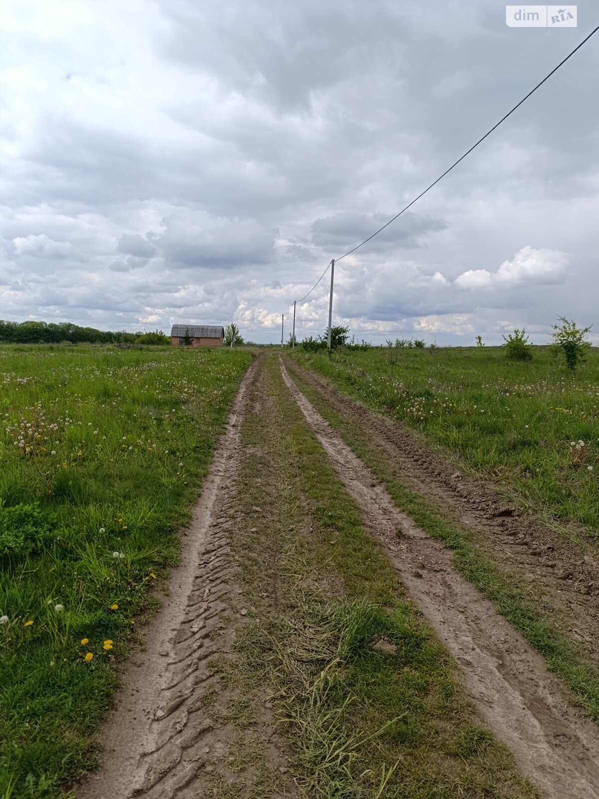 Земельный участок под жилую застройку в Луке-Мелешковской, площадь 20 соток фото 1 Земельный участок под жилую застройку в Луке-Мелешковской, площадь 20 соток фото 1
