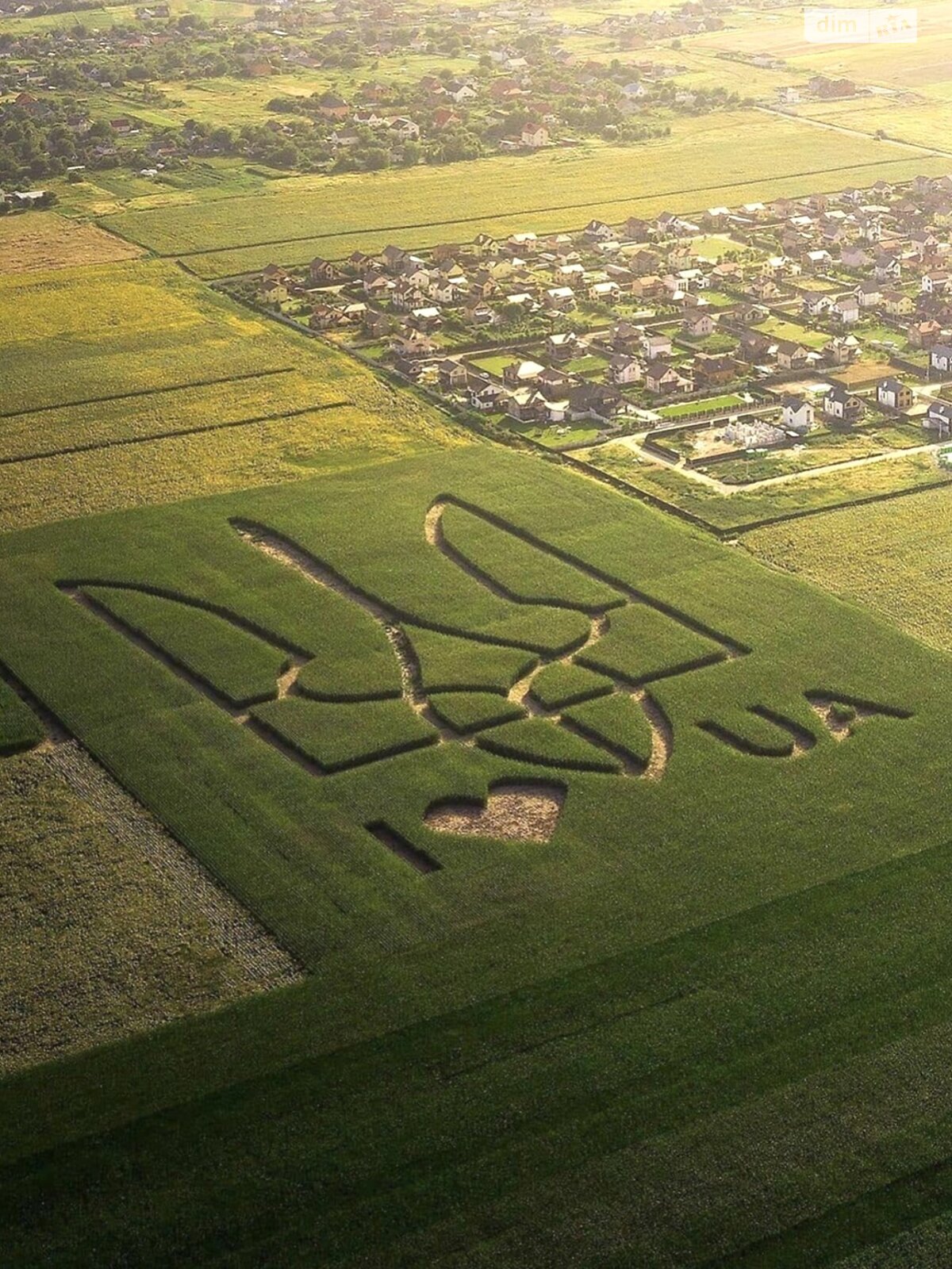 Земельный участок под жилую застройку в Луке-Мелешковской, площадь 20 соток фото 1