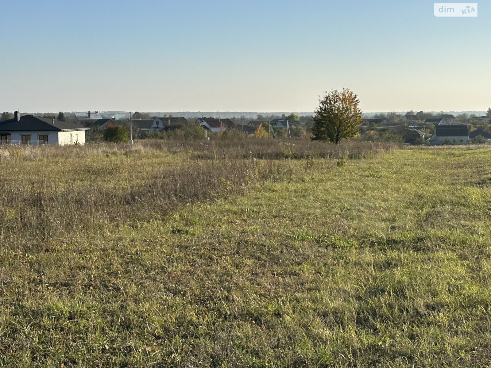 Земельный участок под жилую застройку в Луке-Мелешковской, площадь 20 соток фото 1