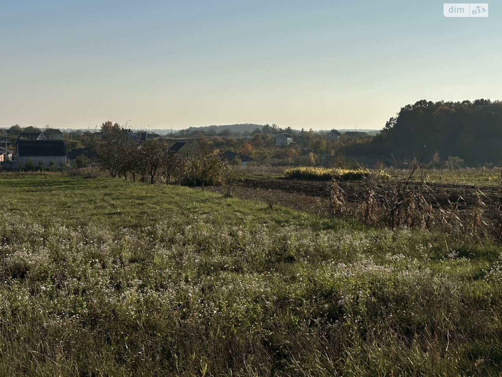Земельный участок под жилую застройку в Луке-Мелешковской, площадь 20 соток фото 1