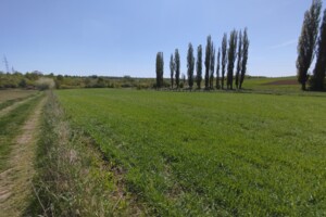 Земельна ділянка під житлову забудову в Луці-Мелешківській, площа 43 сотки фото 2