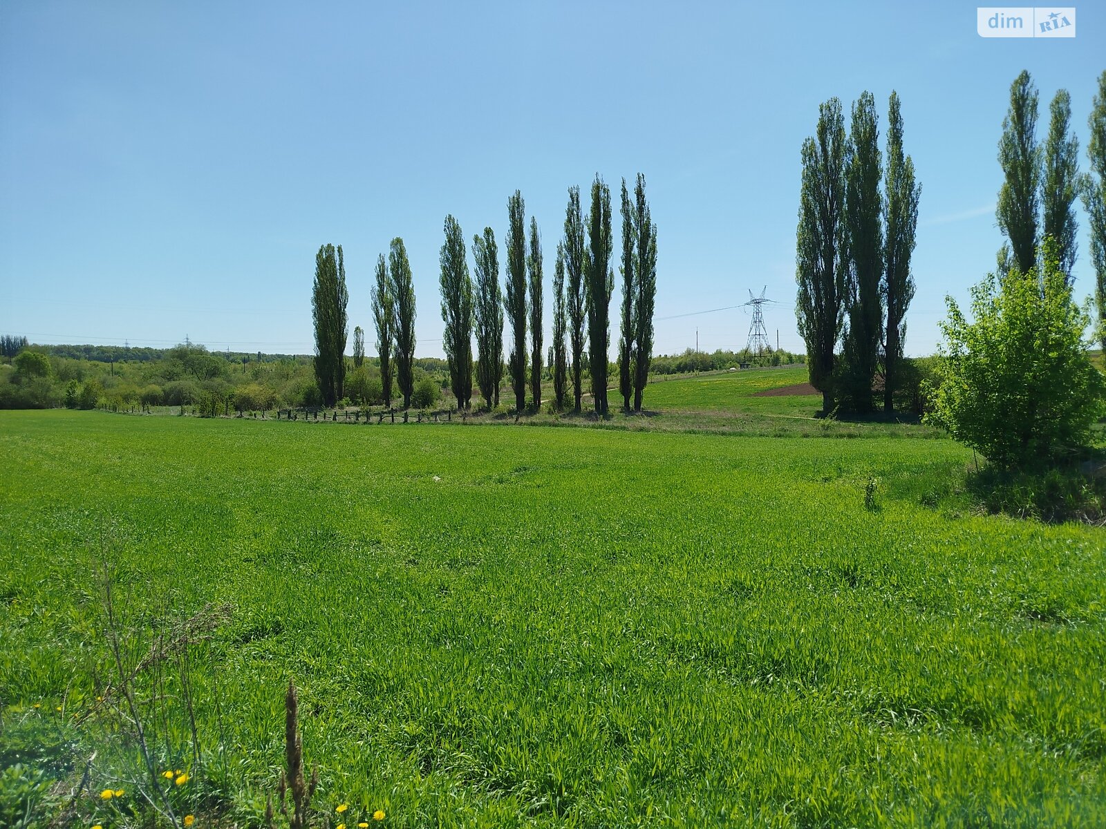 Земельна ділянка під житлову забудову в Луці-Мелешківській, площа 43 сотки фото 1 Земельна ділянка під житлову забудову в Луці-Мелешківській, площа 43 сотки фото 1