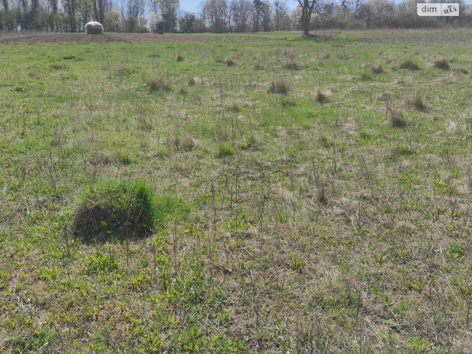 Земельный участок под жилую застройку в Луке-Мелешковской, площадь 17 соток фото 1 Земельный участок под жилую застройку в Луке-Мелешковской, площадь 17 соток фото 1
