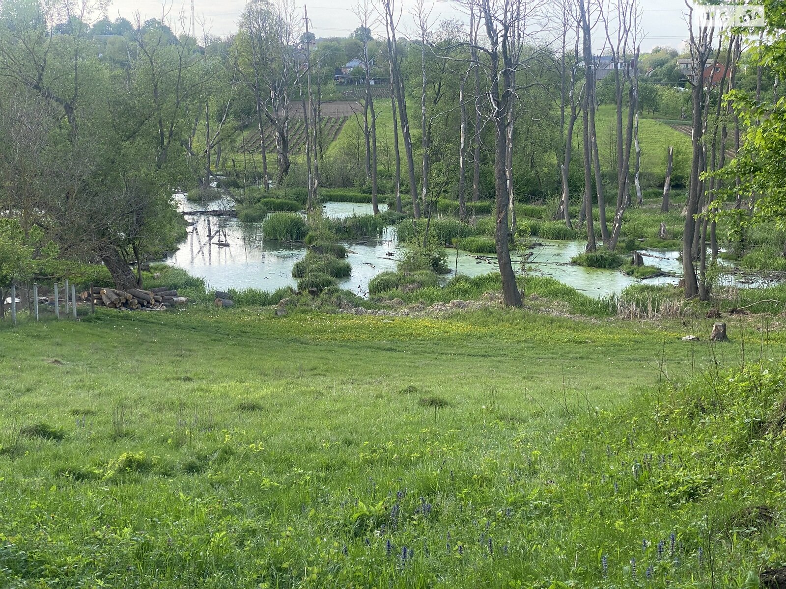 Земельна ділянка під житлову забудову в Луці-Мелешківській, площа 12.5 сотки фото 1 Земельна ділянка під житлову забудову в Луці-Мелешківській, площа 12.5 сотки фото 1