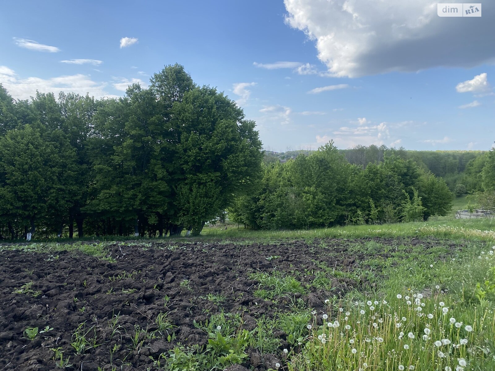 Земельна ділянка під житлову забудову в Луці-Мелешківській, площа 12.5 сотки фото 1 Земельна ділянка під житлову забудову в Луці-Мелешківській, площа 12.5 сотки фото 1