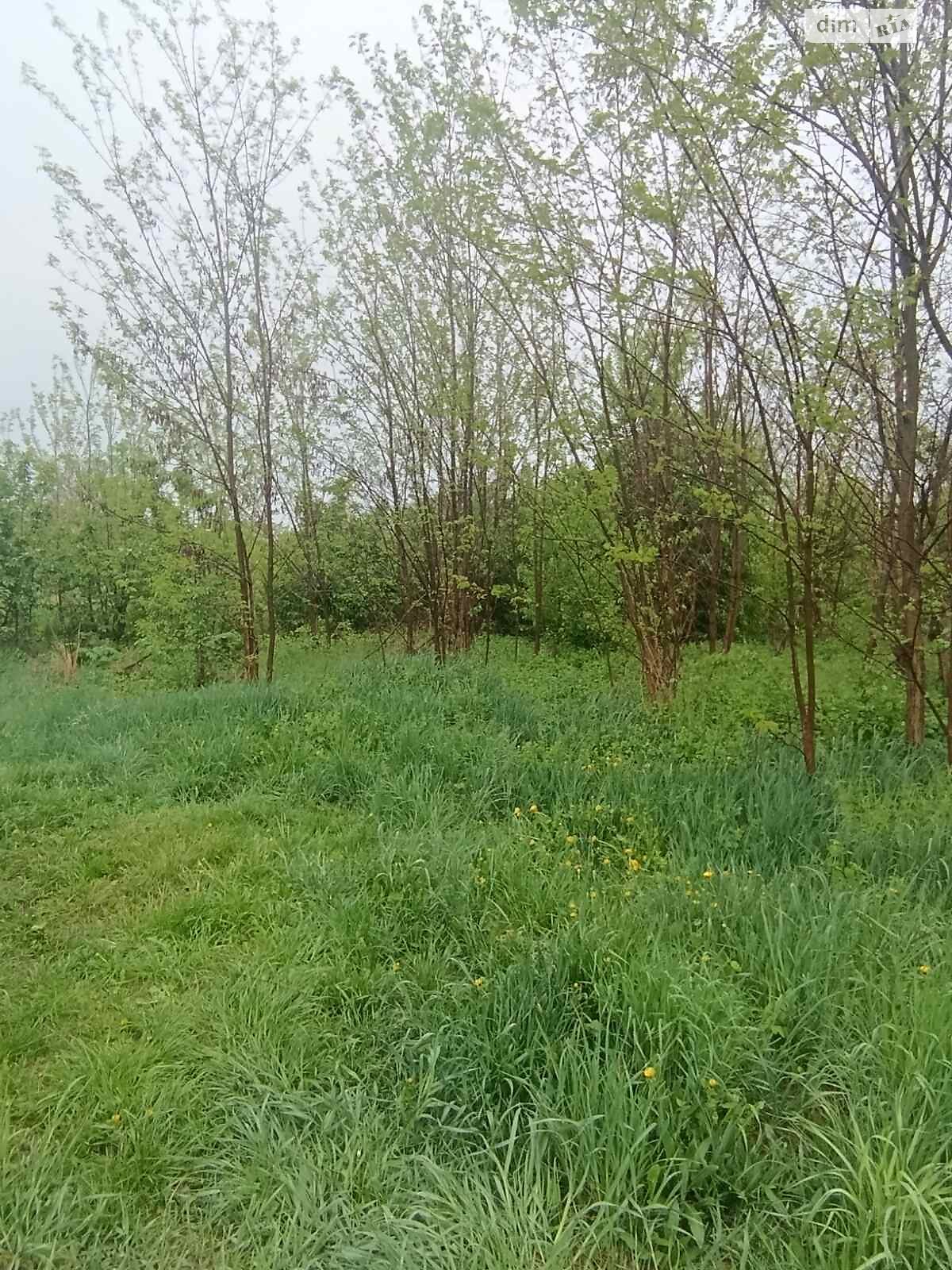 Земельна ділянка під житлову забудову в Луці-Мелешківській, площа 15 соток фото 1 Земельна ділянка під житлову забудову в Луці-Мелешківській, площа 15 соток фото 1