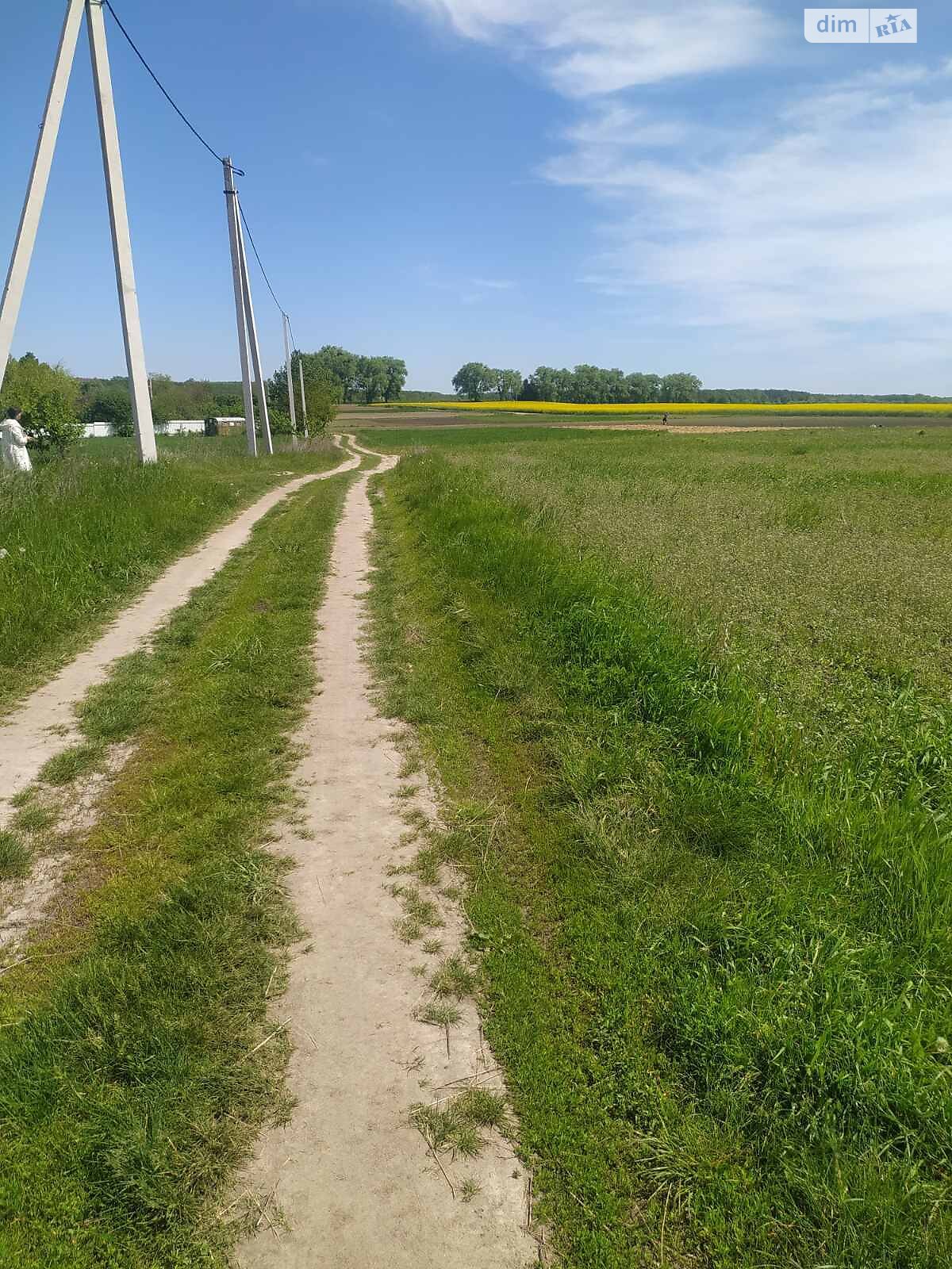 Земельна ділянка під житлову забудову в Луці-Мелешківській, площа 15 соток фото 1 Земельна ділянка під житлову забудову в Луці-Мелешківській, площа 15 соток фото 1