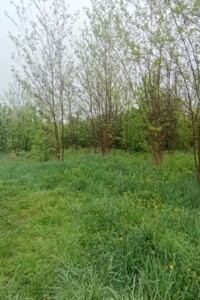 Земельна ділянка під житлову забудову в Луці-Мелешківській, площа 15 соток фото 2