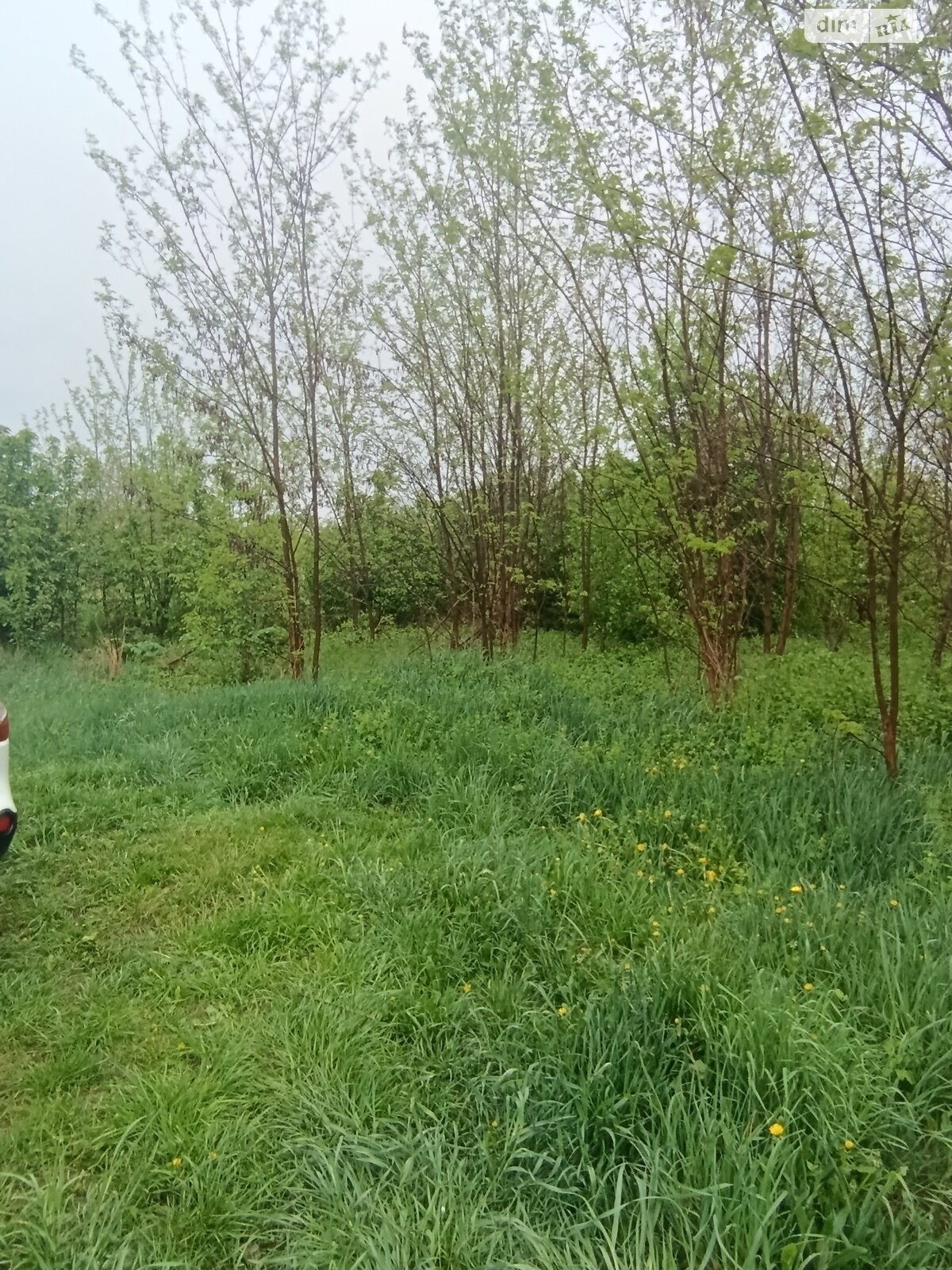 Земельна ділянка під житлову забудову в Луці-Мелешківській, площа 15 соток фото 1 Земельна ділянка під житлову забудову в Луці-Мелешківській, площа 15 соток фото 1