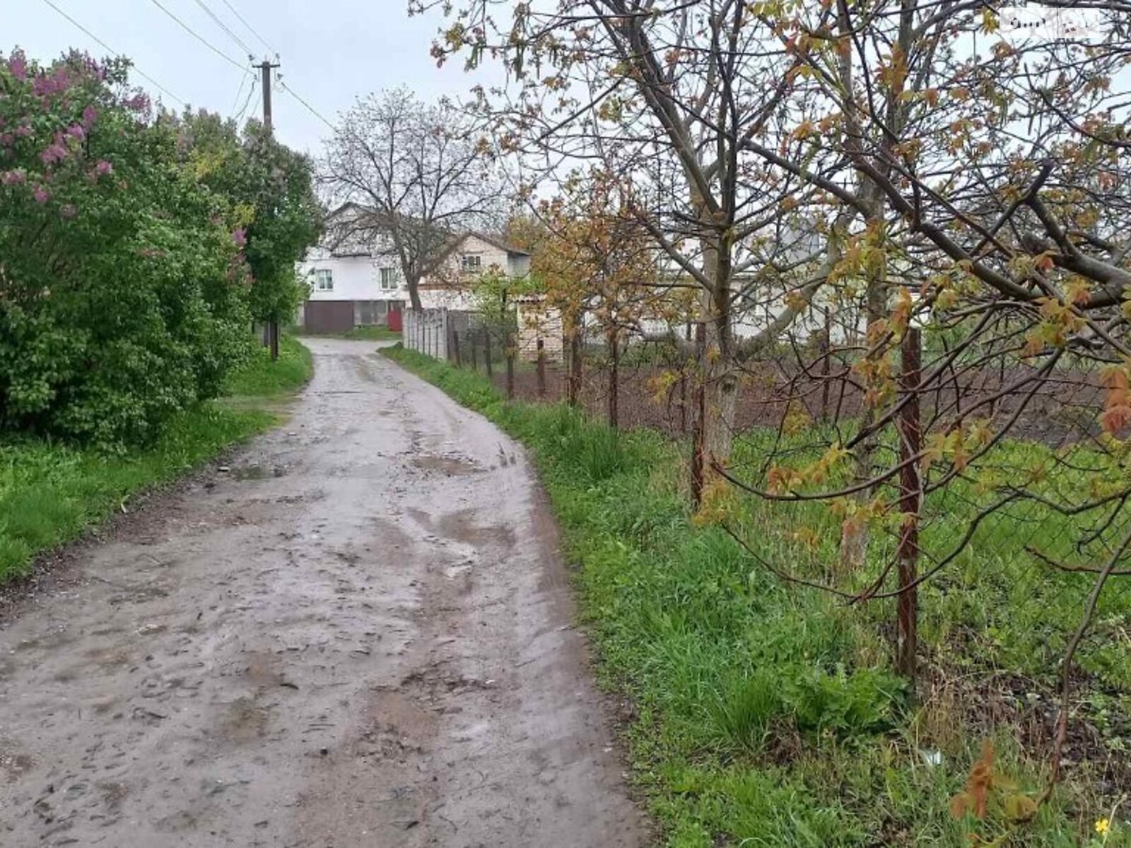 Земельный участок под жилую застройку в Луке-Мелешковской, площадь 25 соток фото 1