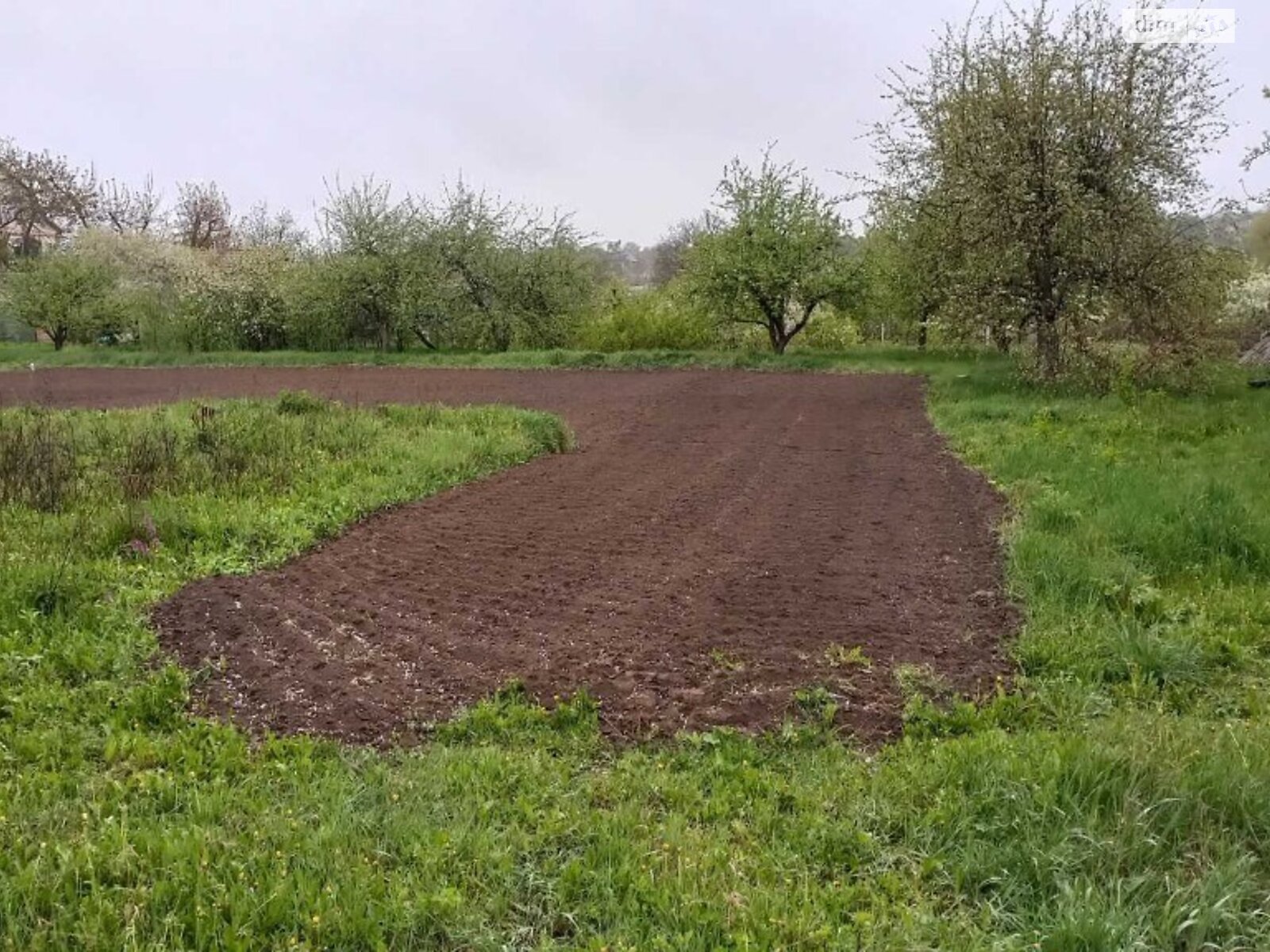 Земельный участок под жилую застройку в Луке-Мелешковской, площадь 25 соток фото 1