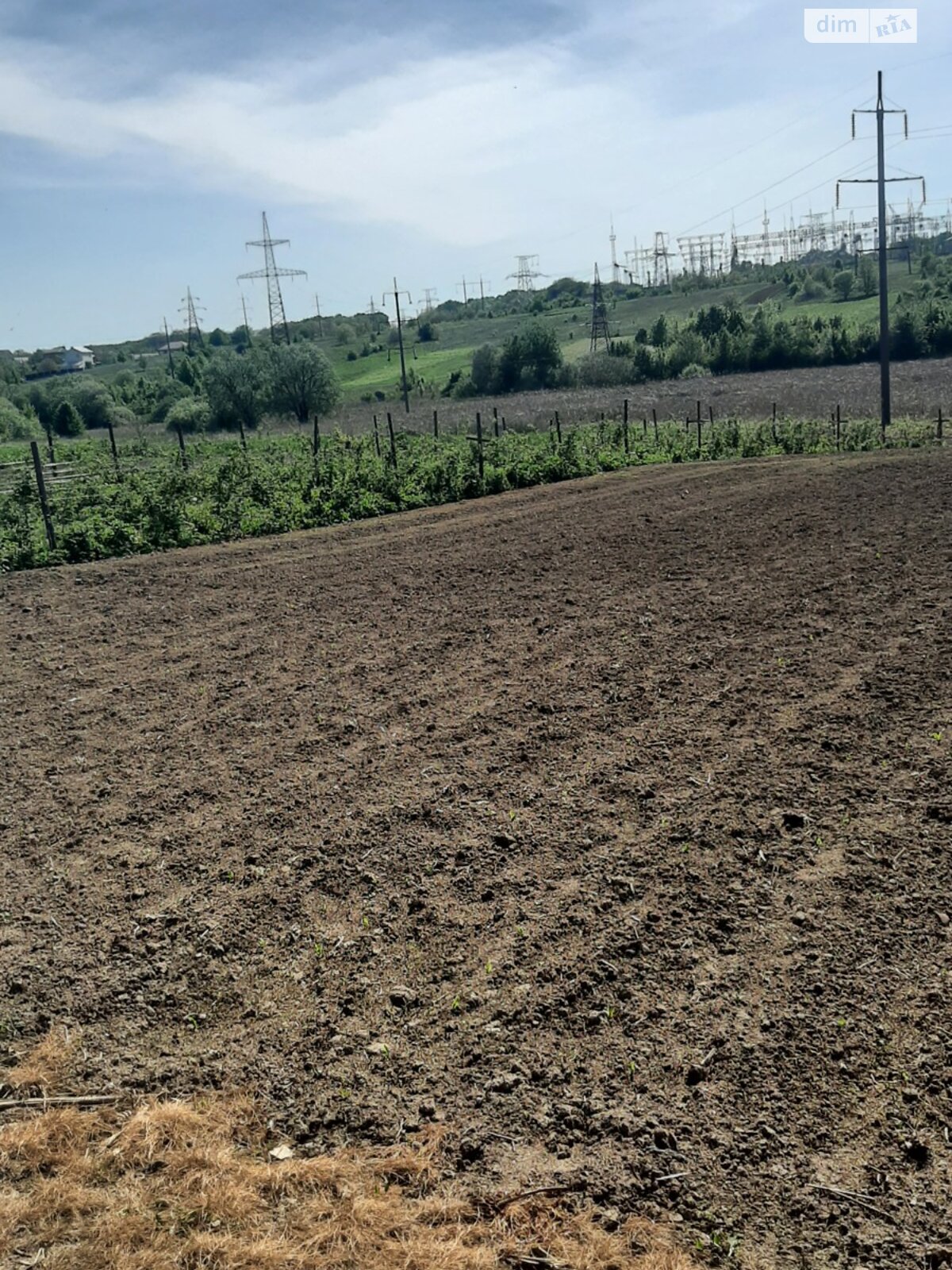 Земельна ділянка під житлову забудову в Луці-Мелешківській, площа 11 соток фото 1