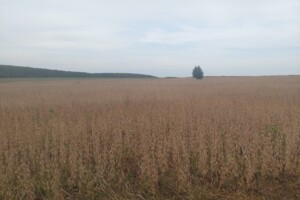 Земельный участок под жилую застройку в Луке-Мелешковской, площадь 20 соток фото 2