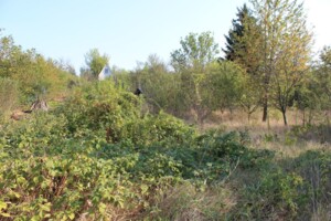 Земельна ділянка під житлову забудову в Луці-Мелешківській, площа 6 соток фото 2