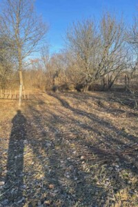 Земельна ділянка під житлову забудову в Луці-Мелешківській, площа 10 соток фото 2