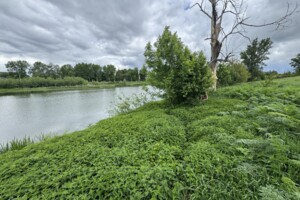 Земельна ділянка під житлову забудову в Луці-Мелешківській, площа 25 соток фото 2