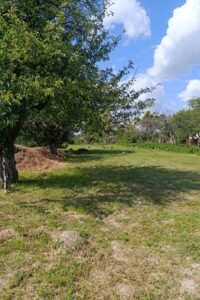 Земельна ділянка під житлову забудову в Луці-Мелешківській, площа 50.62 сотки фото 2 Земельна ділянка під житлову забудову в Луці-Мелешківській, площа 50.62 сотки фото 2