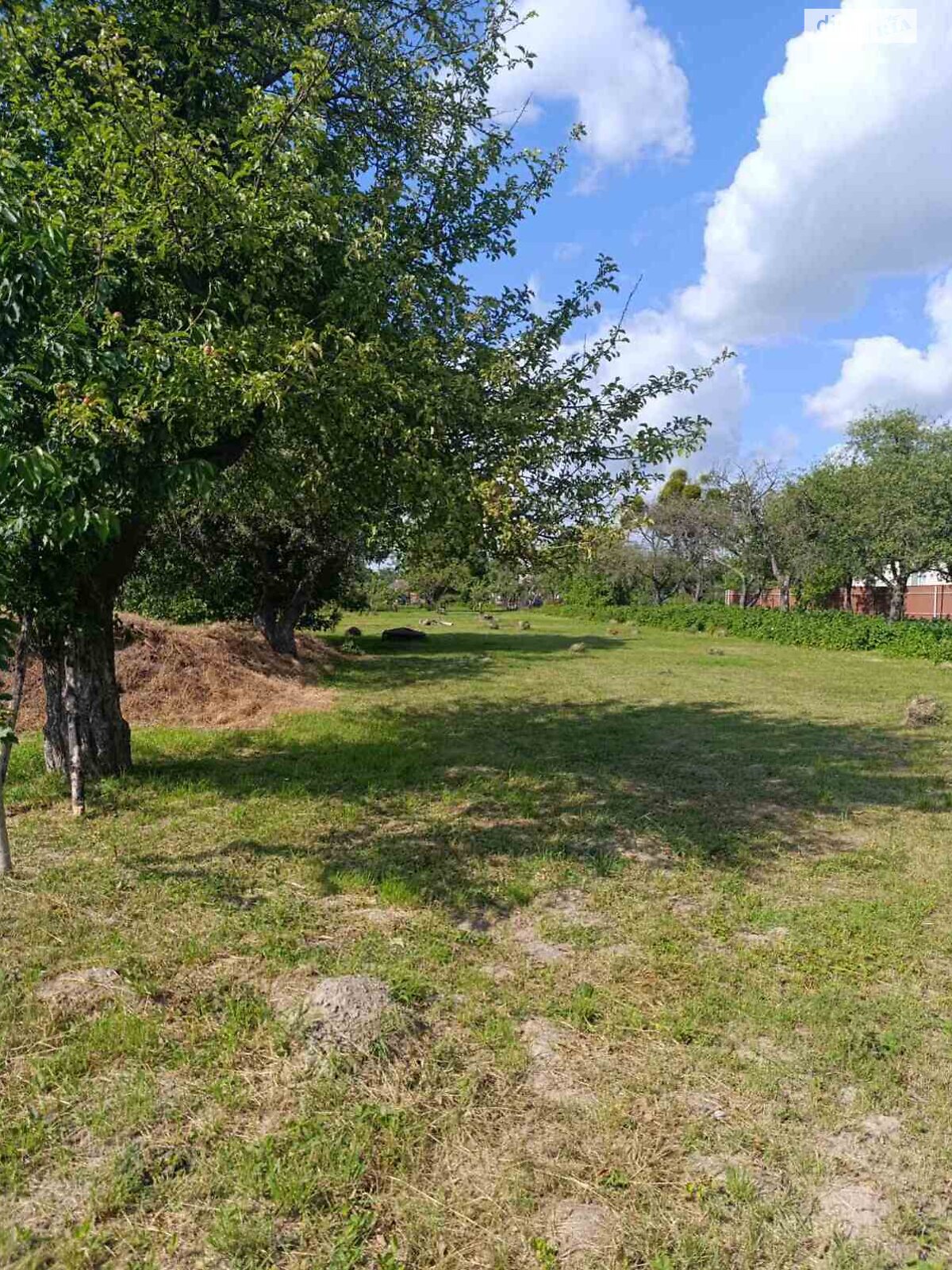 Земельна ділянка під житлову забудову в Луці-Мелешківській, площа 50.62 сотки фото 1 Земельна ділянка під житлову забудову в Луці-Мелешківській, площа 50.62 сотки фото 1