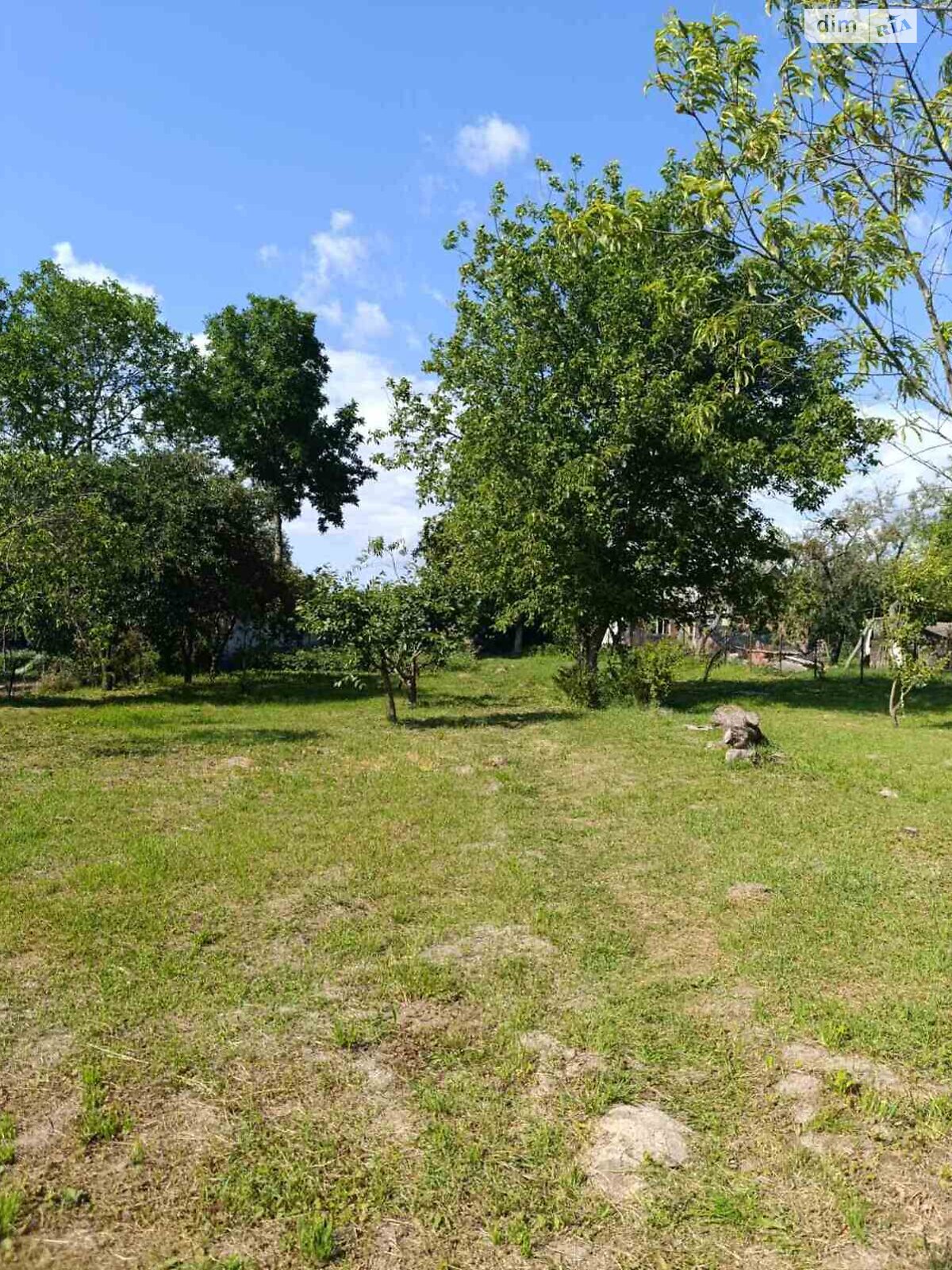 Земельна ділянка під житлову забудову в Луці-Мелешківській, площа 50.62 сотки фото 1 Земельна ділянка під житлову забудову в Луці-Мелешківській, площа 50.62 сотки фото 1