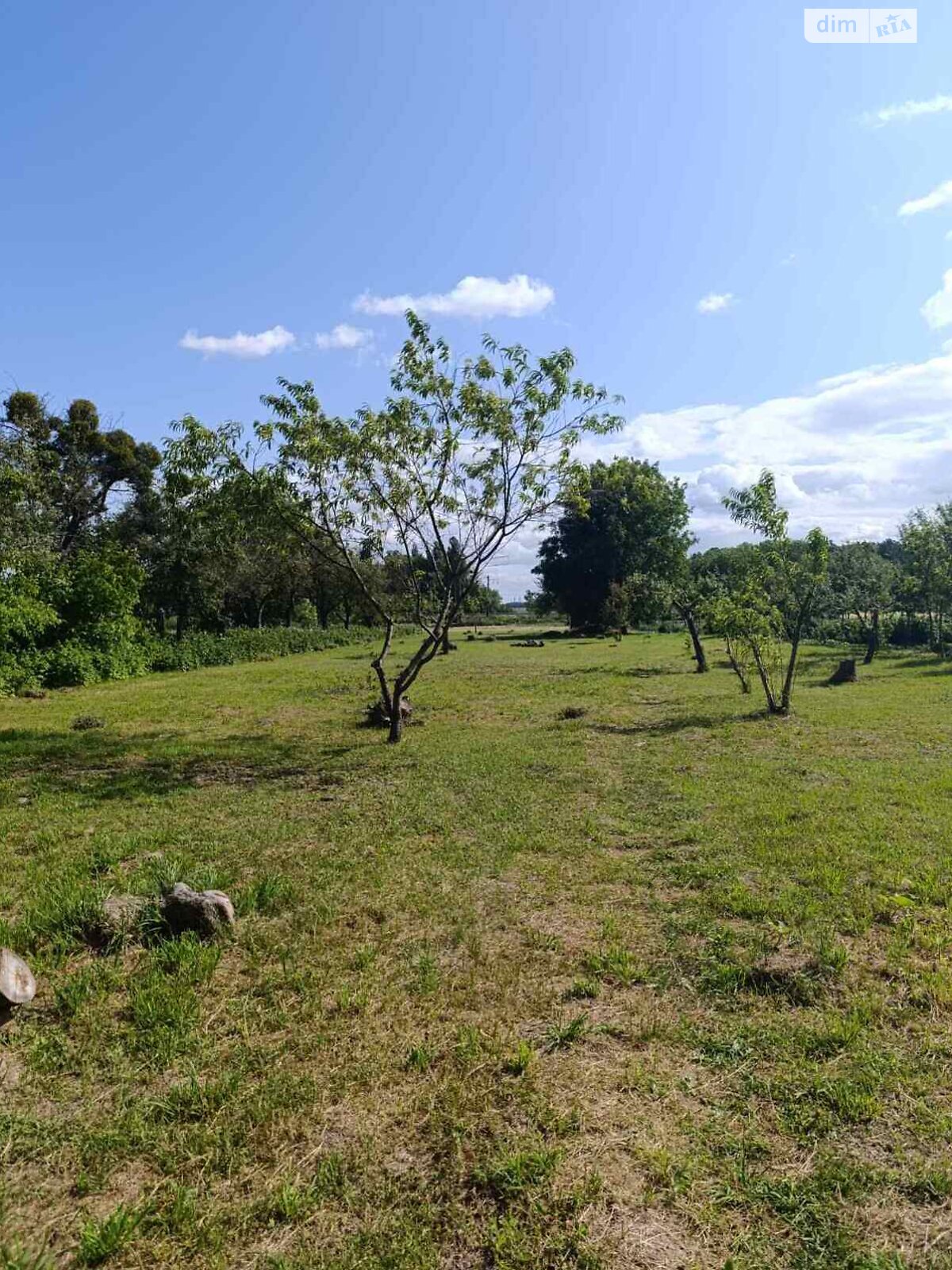 Земельна ділянка під житлову забудову в Луці-Мелешківській, площа 50.62 сотки фото 1 Земельна ділянка під житлову забудову в Луці-Мелешківській, площа 50.62 сотки фото 1