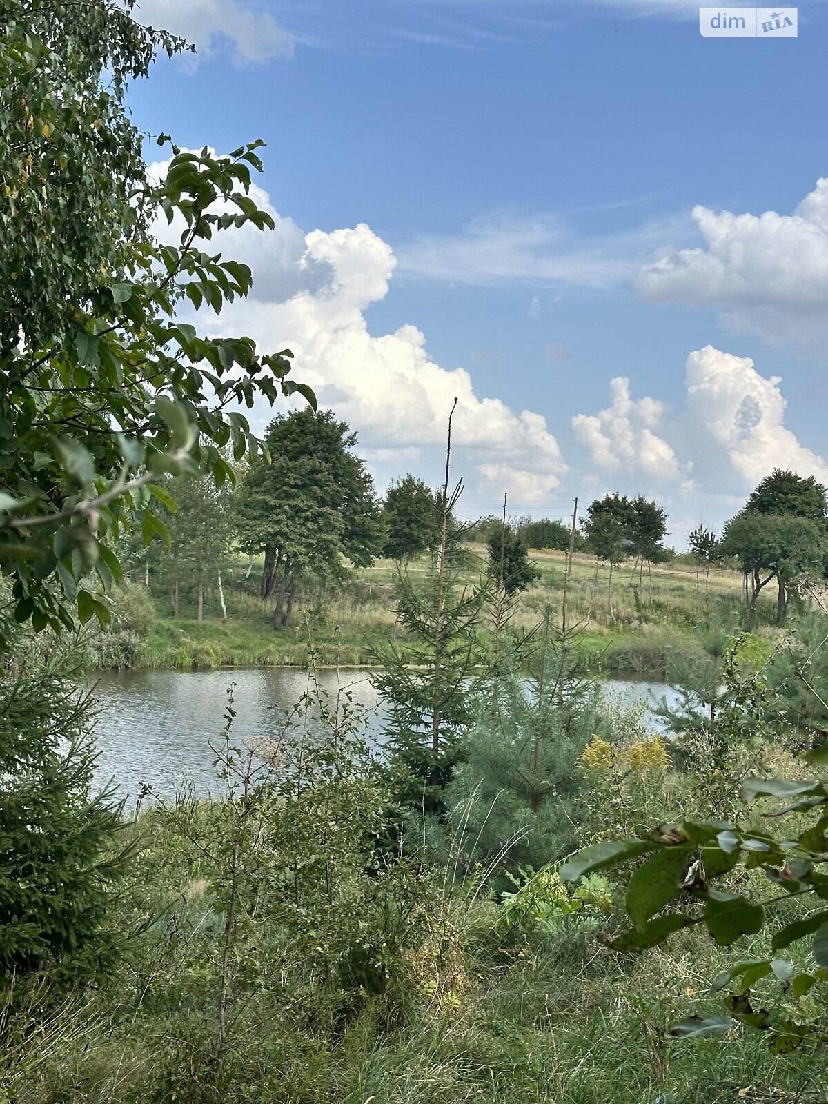 Земельный участок под жилую застройку в Луке-Мелешковской, площадь 25 соток фото 1 Земельный участок под жилую застройку в Луке-Мелешковской, площадь 25 соток фото 1