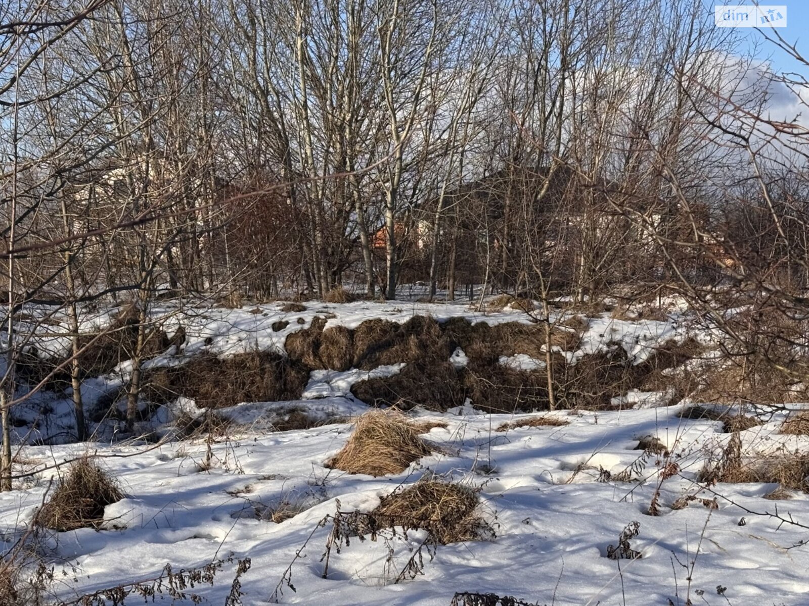 Земельный участок под жилую застройку в Луке-Мелешковской, площадь 15 соток фото 1