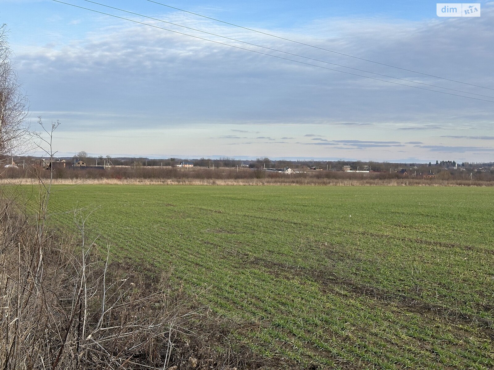 Земельна ділянка під житлову забудову в Луці-Мелешківській, площа 214 соток фото 1