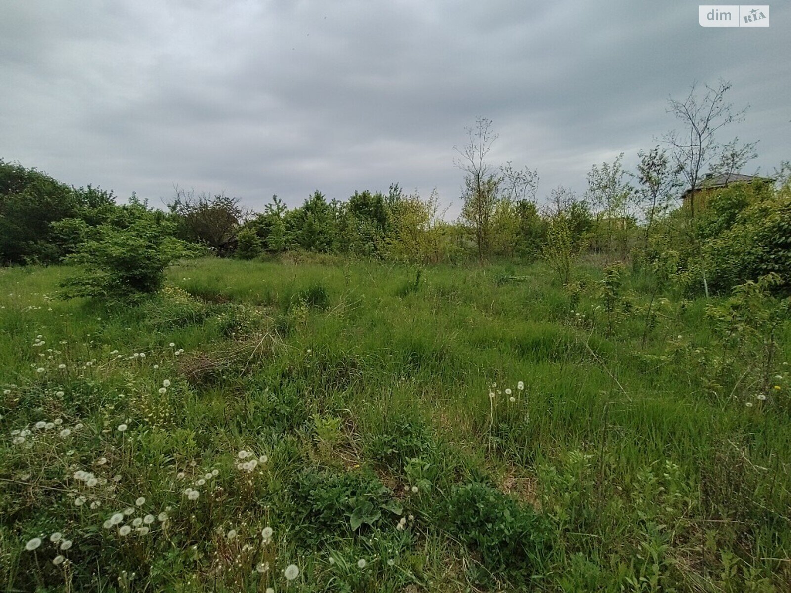 Земельна ділянка під житлову забудову в Луці-Мелешківській, площа 15 соток фото 1