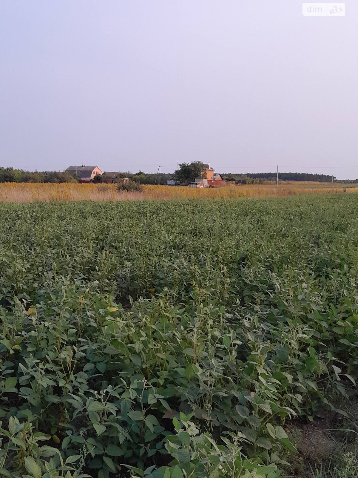 Земельна ділянка під житлову забудову в Лукашівці, площа 21.14 сотки фото 1 Земельна ділянка під житлову забудову в Лукашівці, площа 21.14 сотки фото 1