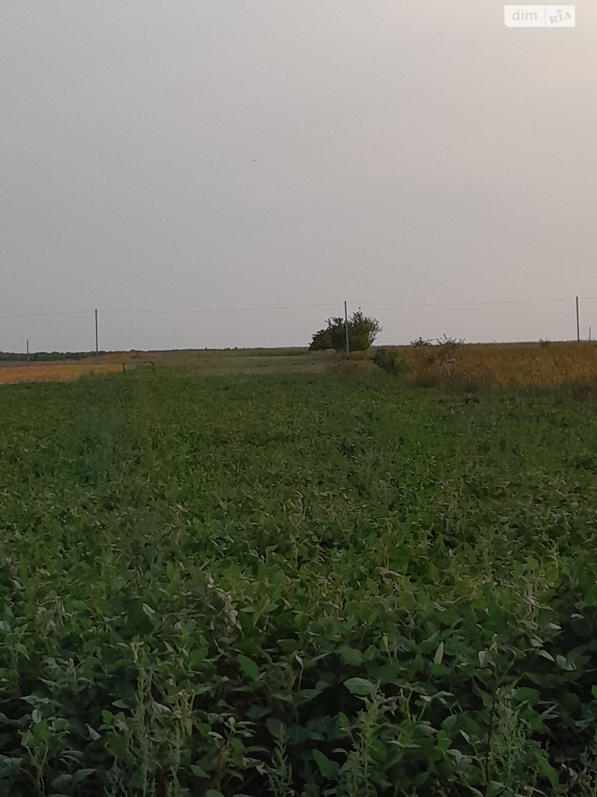 Земельна ділянка під житлову забудову в Лукашівці, площа 21.14 сотки фото 1 Земельна ділянка під житлову забудову в Лукашівці, площа 21.14 сотки фото 1